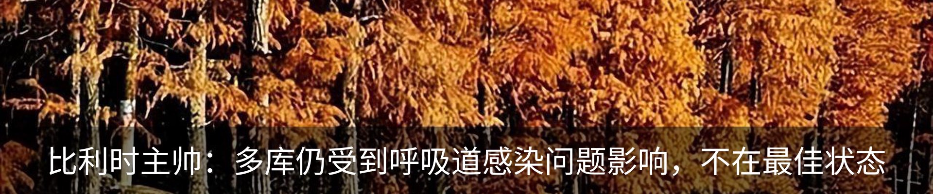 资讯动态